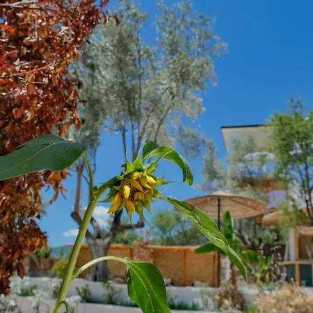 Nyaraló Zai Jardin *