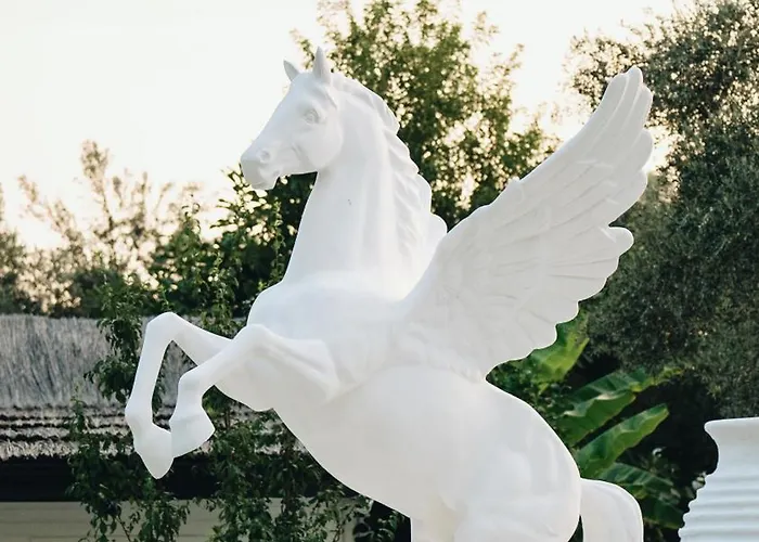 Zai Jardin * 페티예