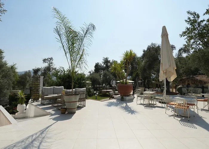 Zai Jardin