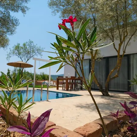 Holiday home Zai Jardin