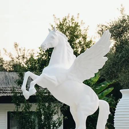 Zai Jardin * 费特希耶