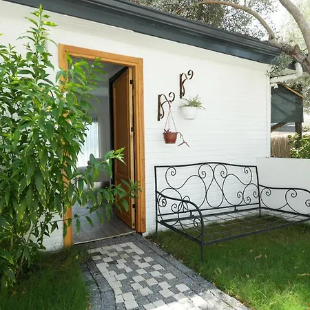 Zai Jardin Case de vacanță *