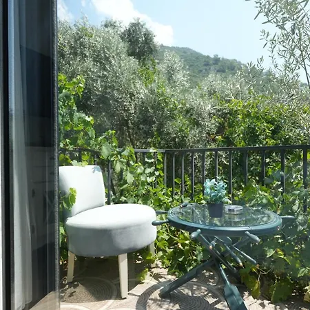 Zai Jardin * 费特希耶